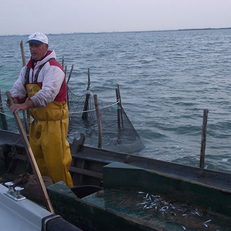 Cooperativa San Marco - Le attività