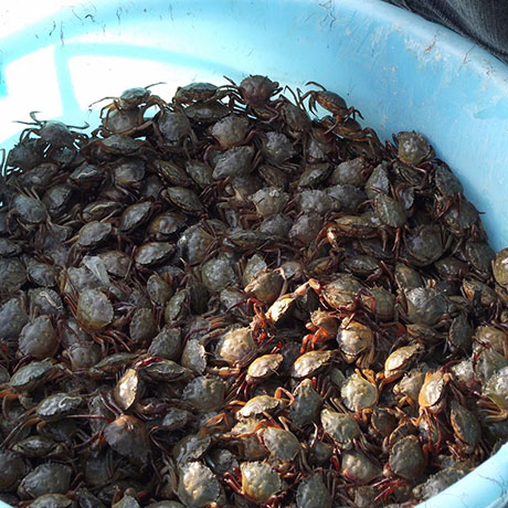 Cooperativa San Marco - Le attività