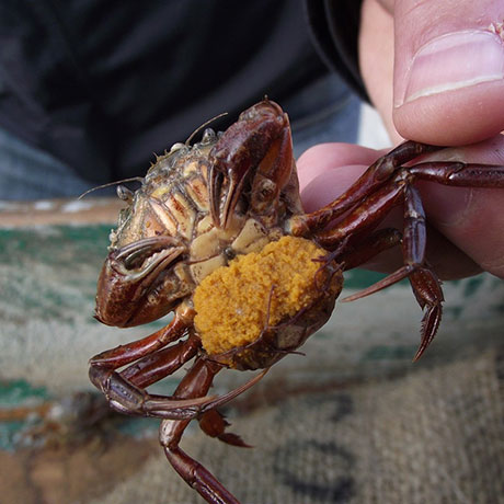 Cooperativa San Marco - Le attività