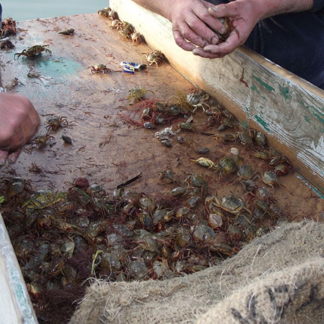 Cooperativa San Marco - Le attività