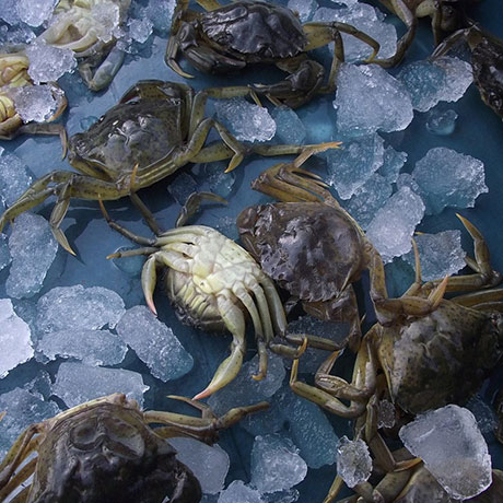 Cooperativa San Marco - Le attività