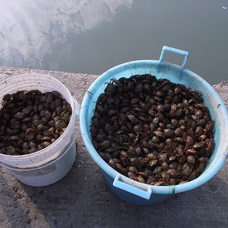 Cooperativa San Marco - Le attività