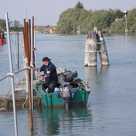 Cooperativa San Marco - Le attività