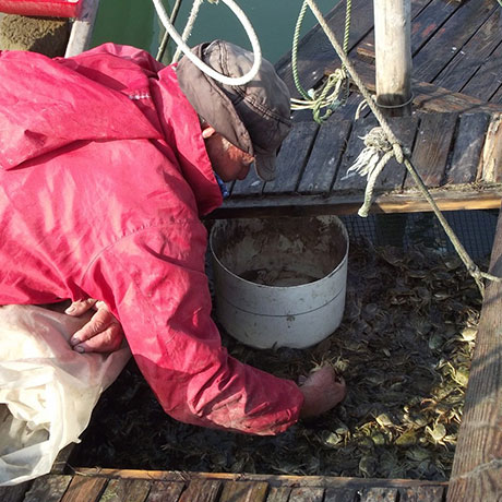 Cooperativa San Marco - Le attività