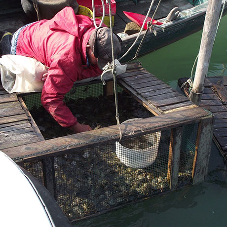 Cooperativa San Marco - Le attività