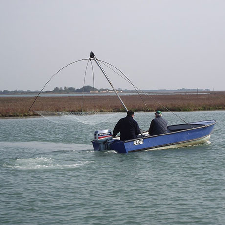 Cooperativa San Marco - Le attività
