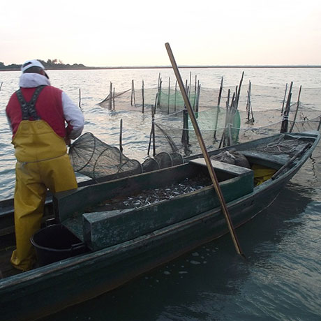Cooperativa San Marco - Le attività