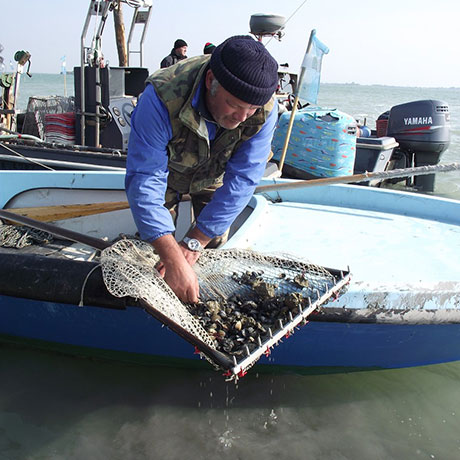 Cooperativa San Marco - Le attività