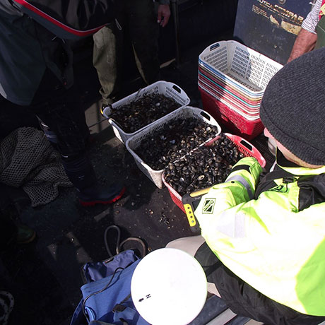 Cooperativa San Marco - Le attività