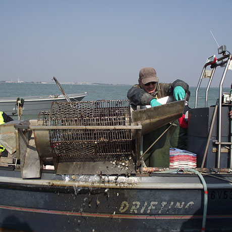 Cooperativa San Marco - Le attività