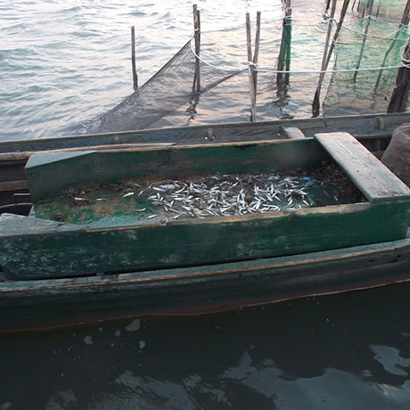 Cooperativa San Marco - Le attività