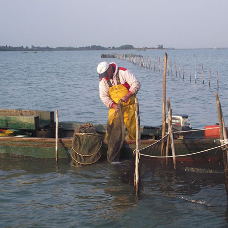 Cooperativa San Marco - Le attività