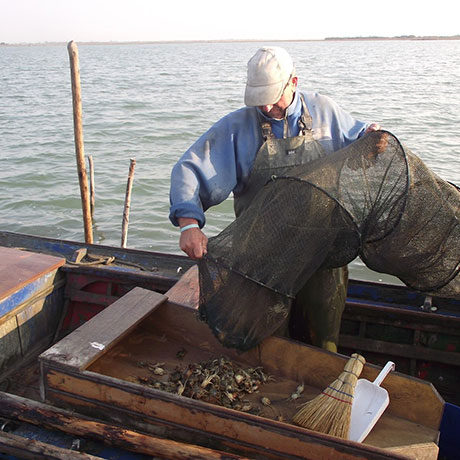 Cooperativa San Marco - Le attività