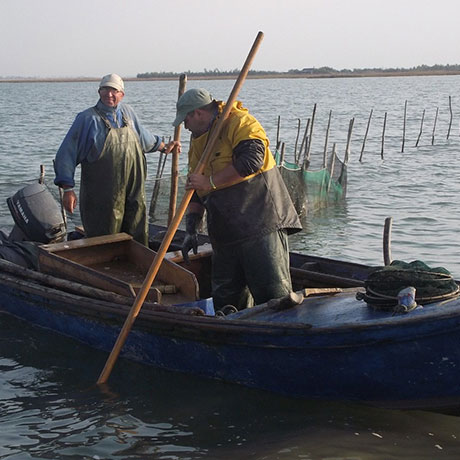 Cooperativa San Marco - Le attività