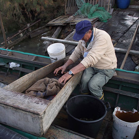 Cooperativa San Marco - Le attività