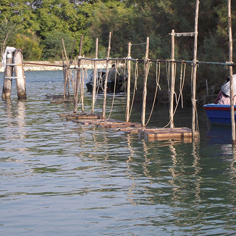 Cooperativa San Marco - Le attività