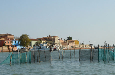 Cooperativa San Marco - Attività