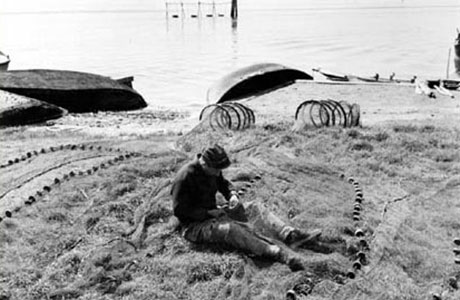 Cooperativa San Marco - Storia