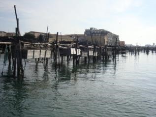 Filiari Chioggia
