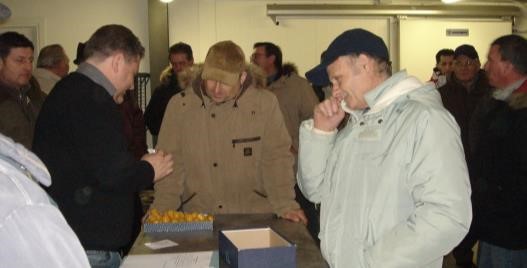 Seragianti buranelli