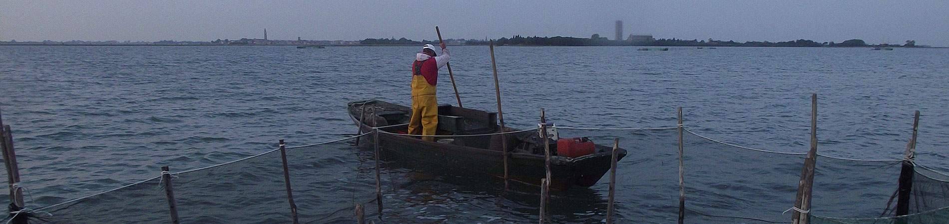 Cooperativa San Marco