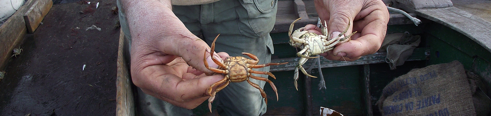 Cooperativa San Marco