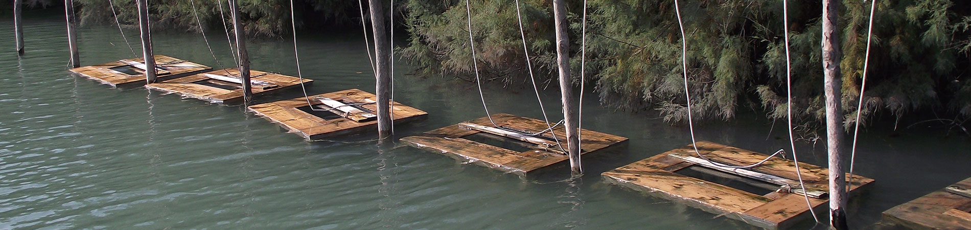 Cooperativa San Marco