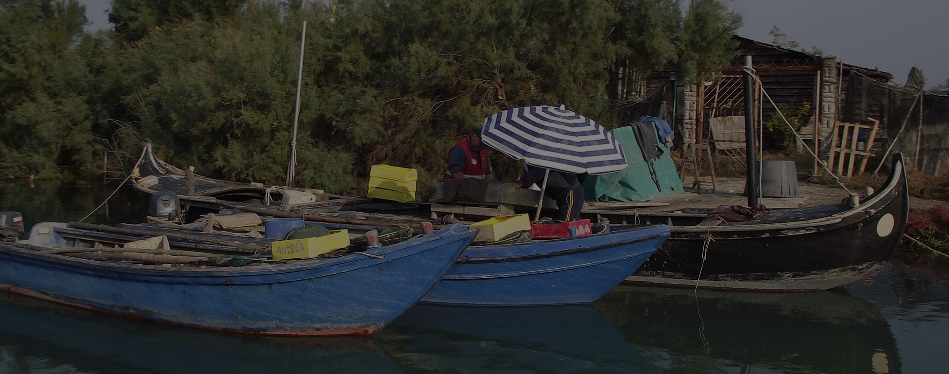 Cooperativa San Marco